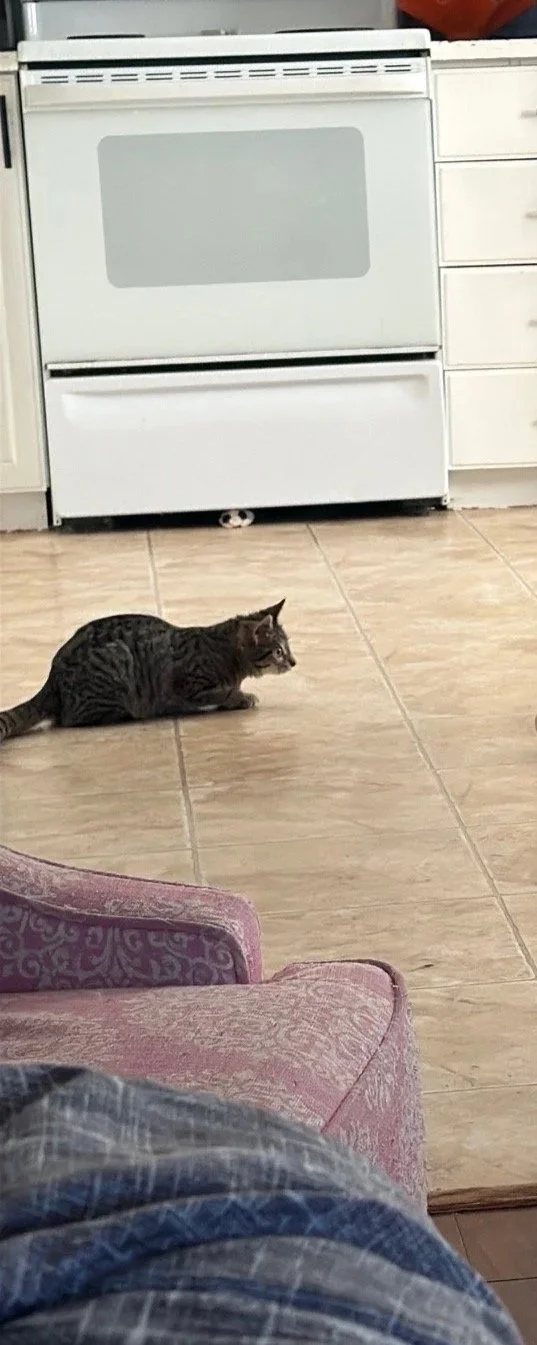 lil+lovis.jpg