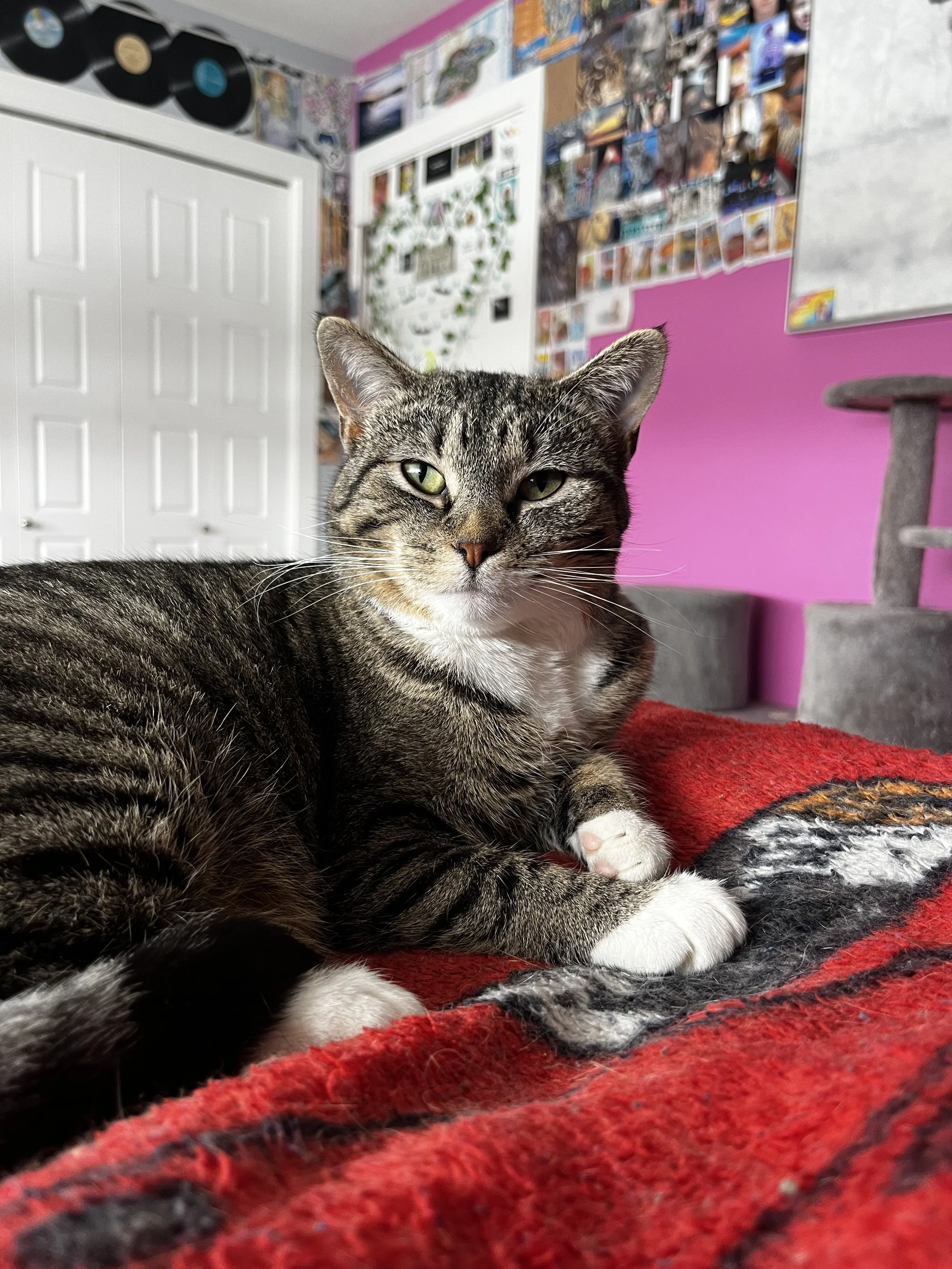 Solar Flare (1).jpeg