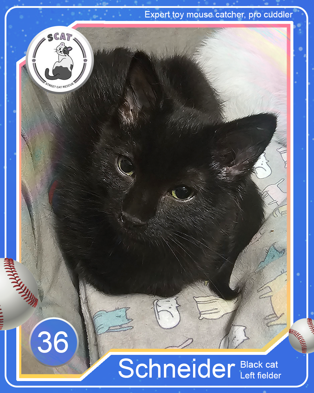 Baseball card-Schneider.png