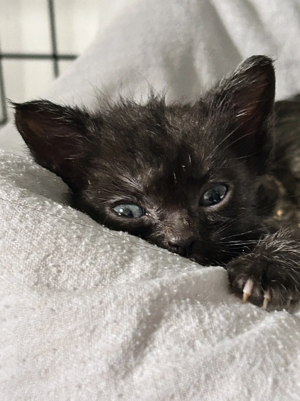 Harbour 1.jpg