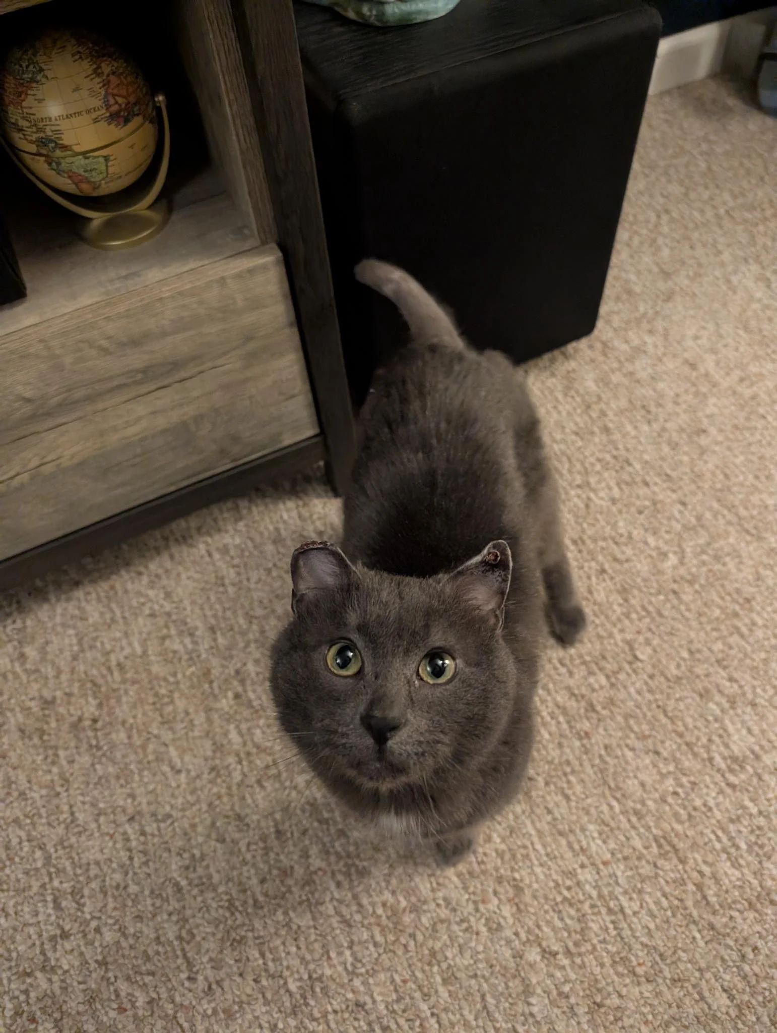 Forklift Certified 3.jpg