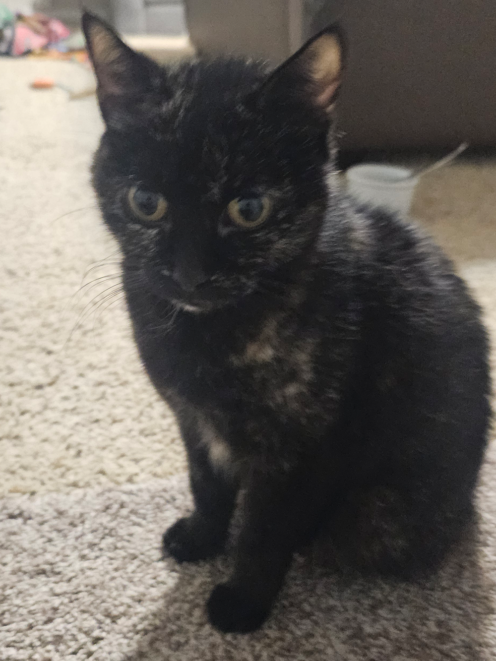 Una-5.png