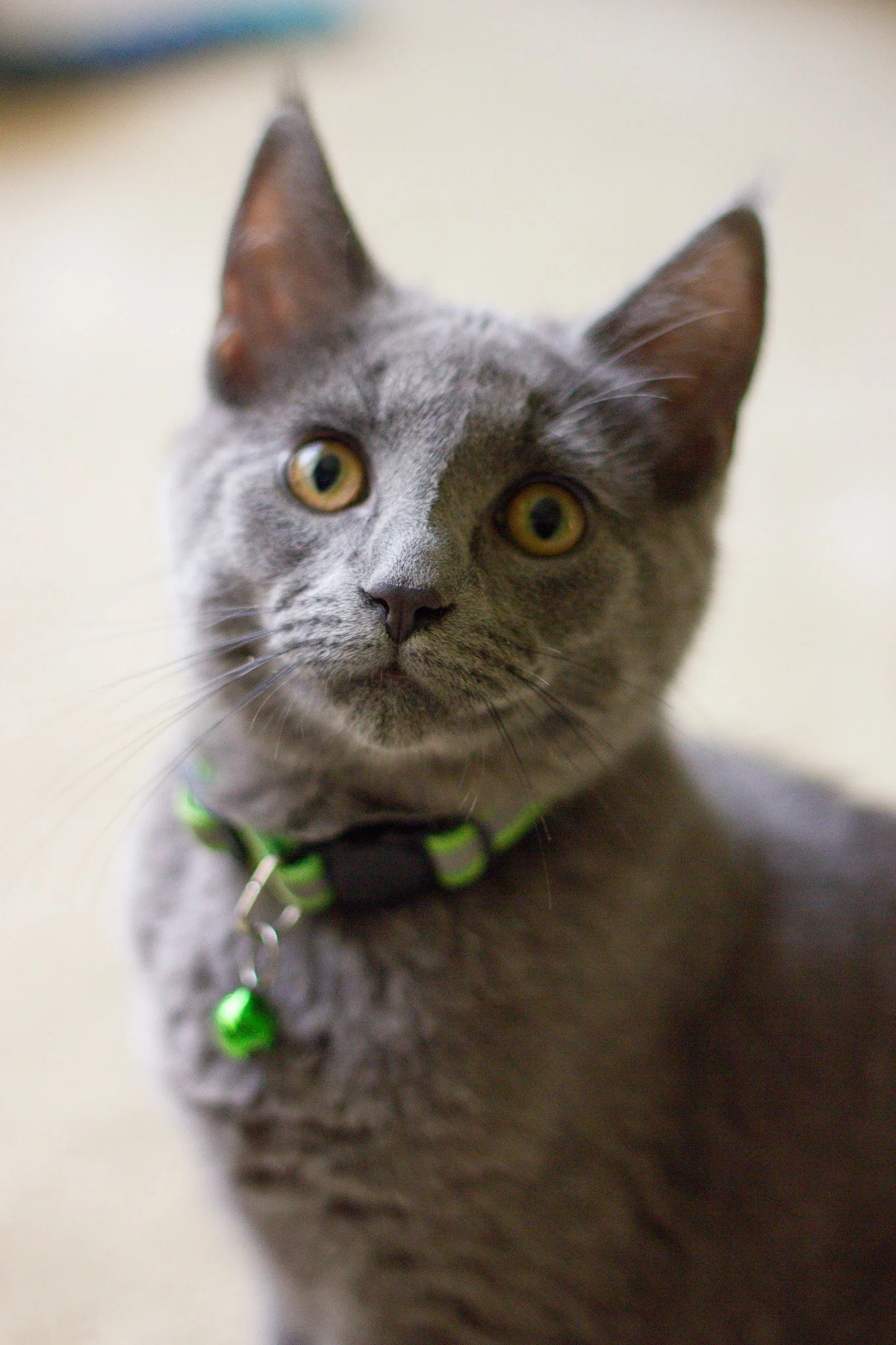 Alastair