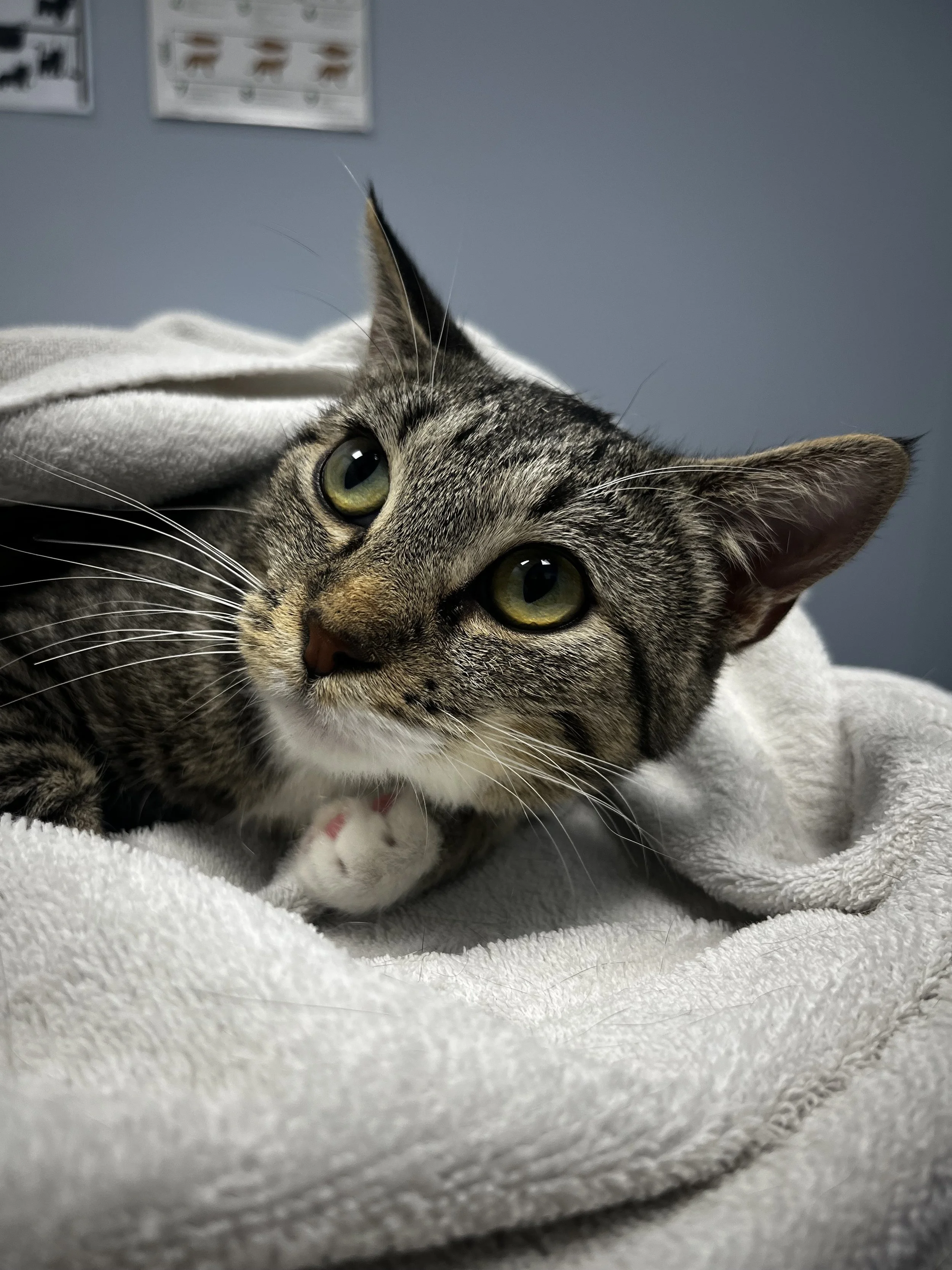 Solar Flare (1).jpeg