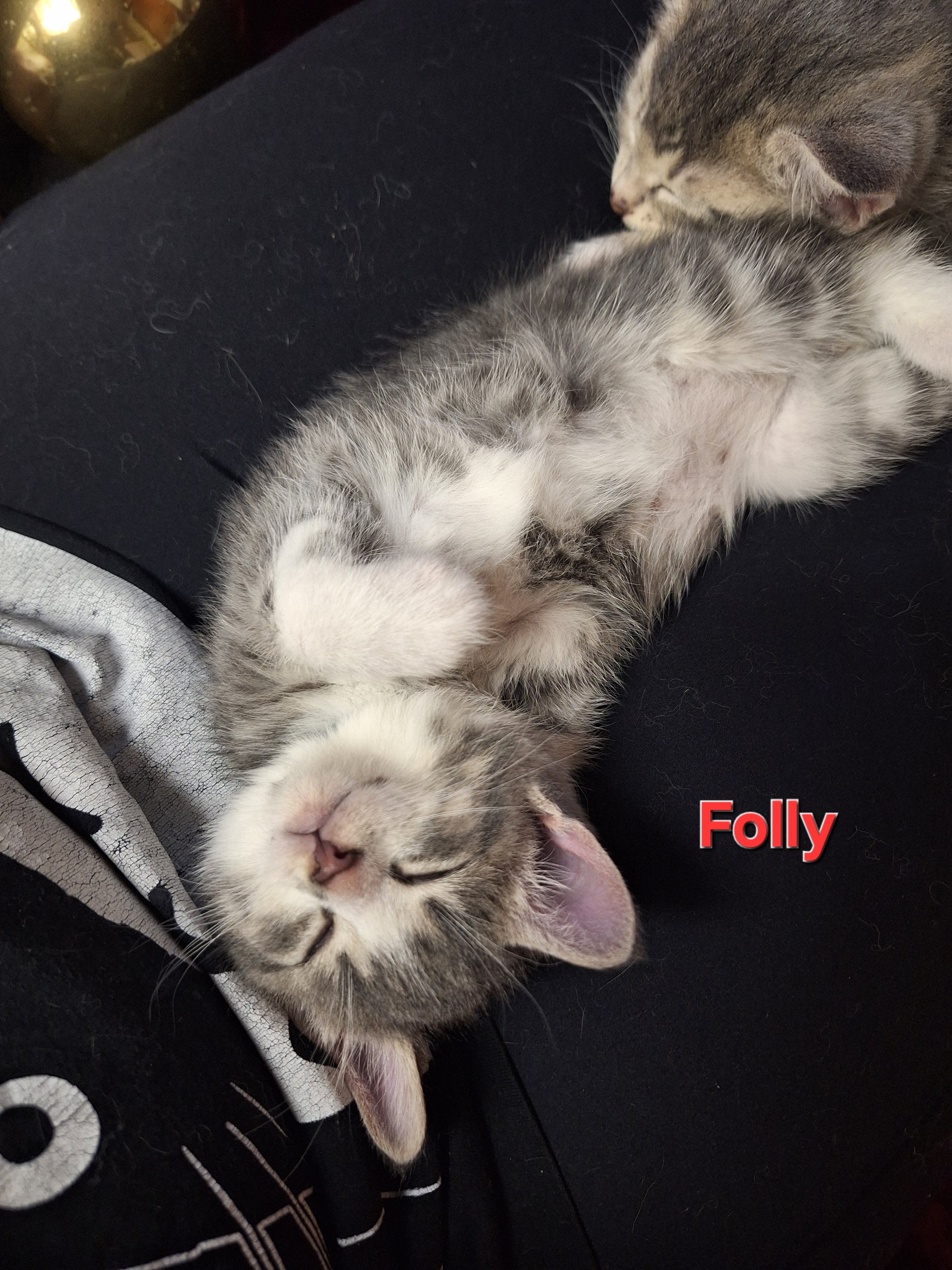 Folly 4.jpg