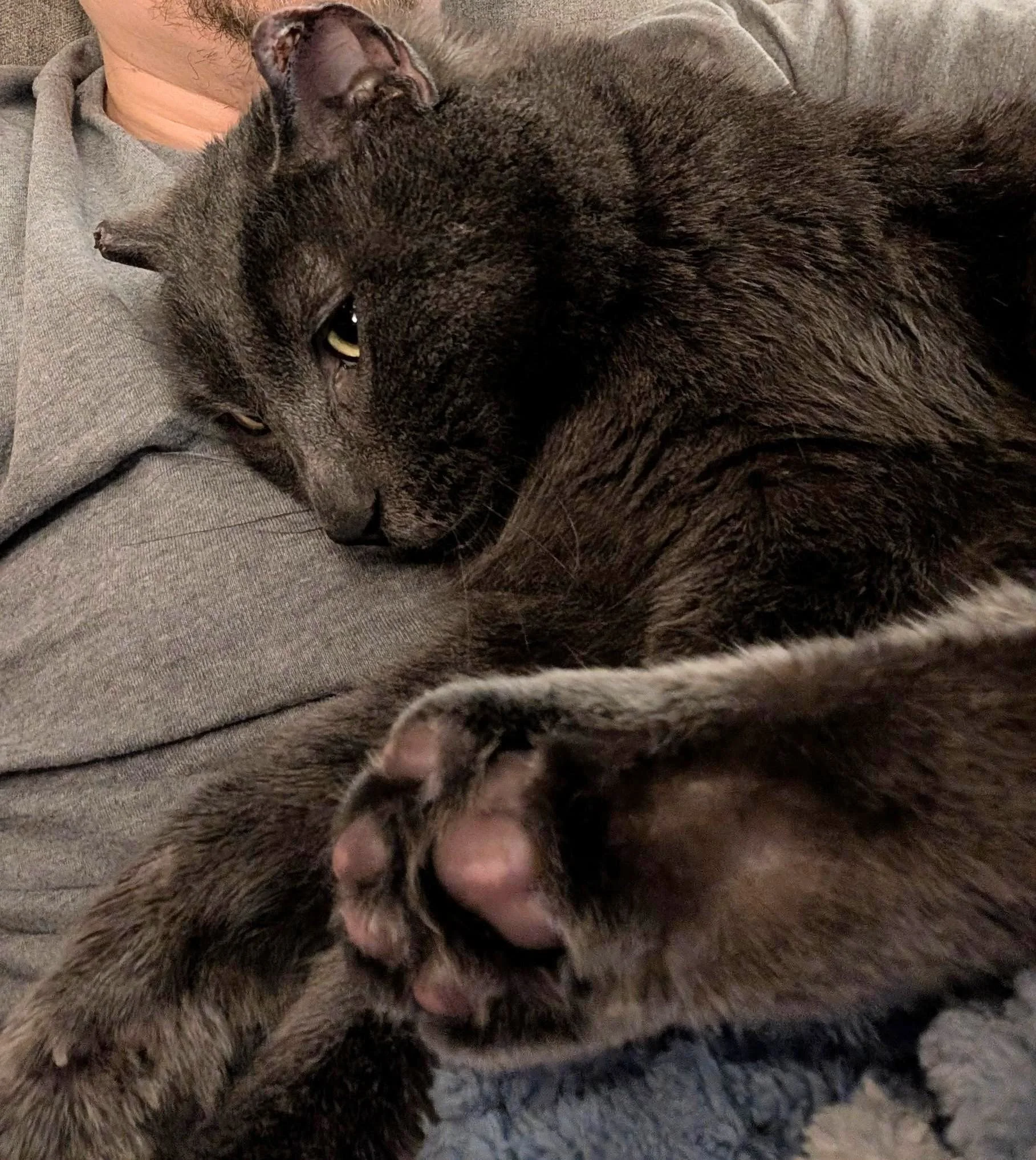 Forklift Certified 6.jpg