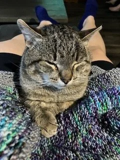 Hunnter_Snuggle.jpg