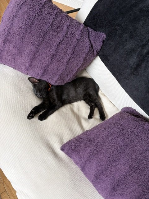 Trudie (1).jpeg