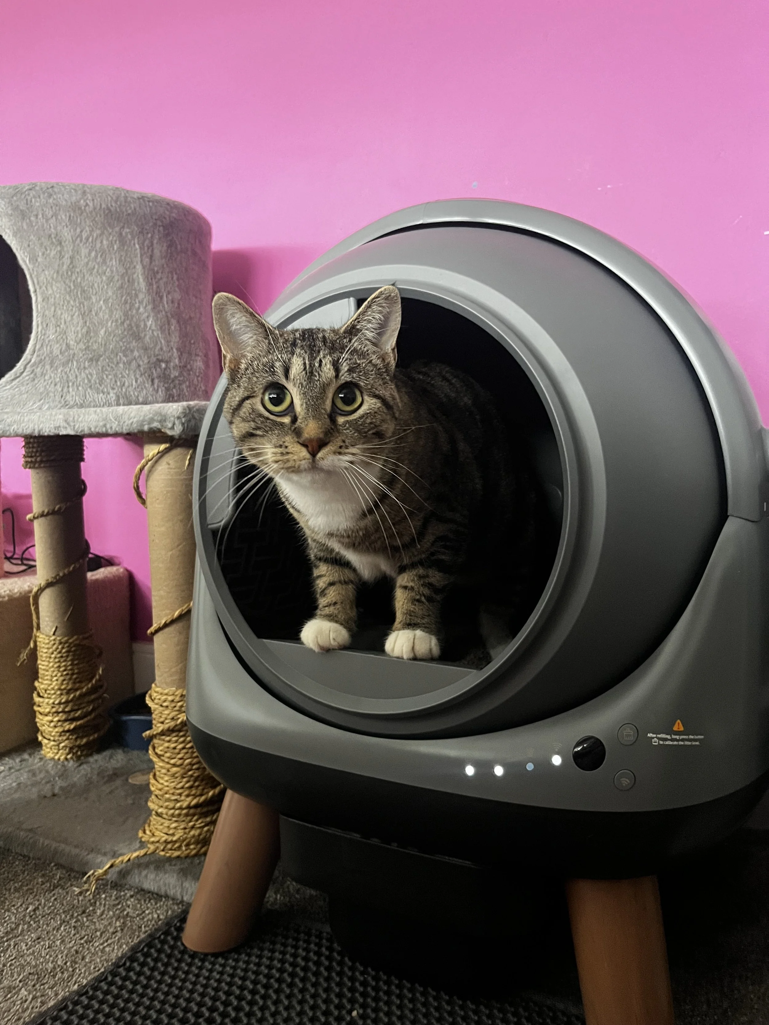 Solar Flare (1).jpeg