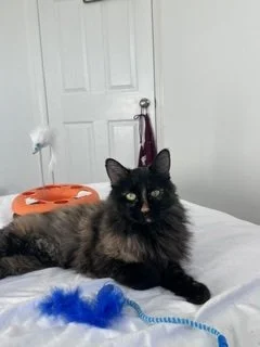 Nutmeg.jpg