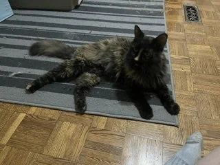 Nutmeg3.jpeg