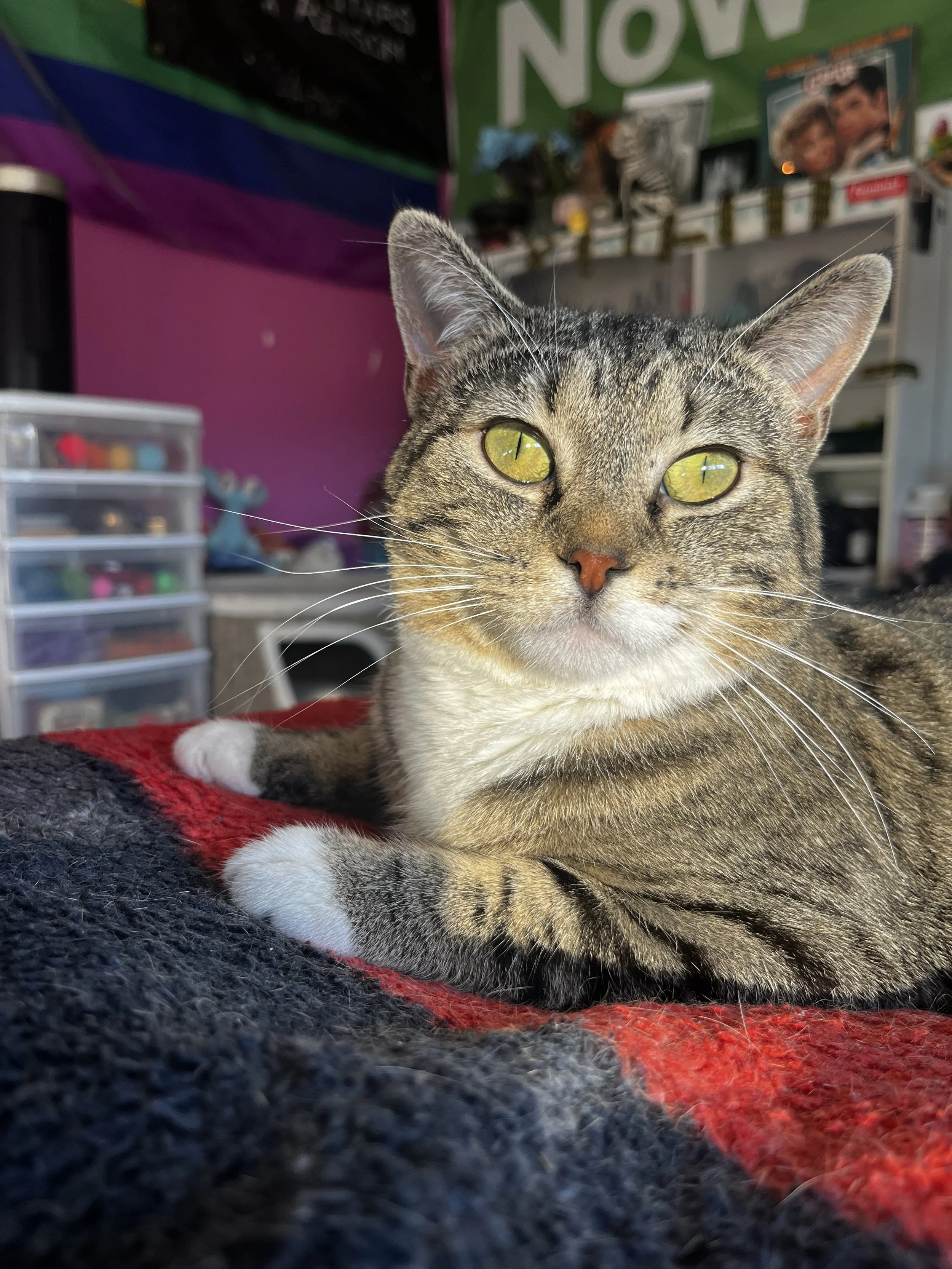 Solar Flare (3).jpeg