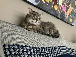 Hunnter_Repose.jpg