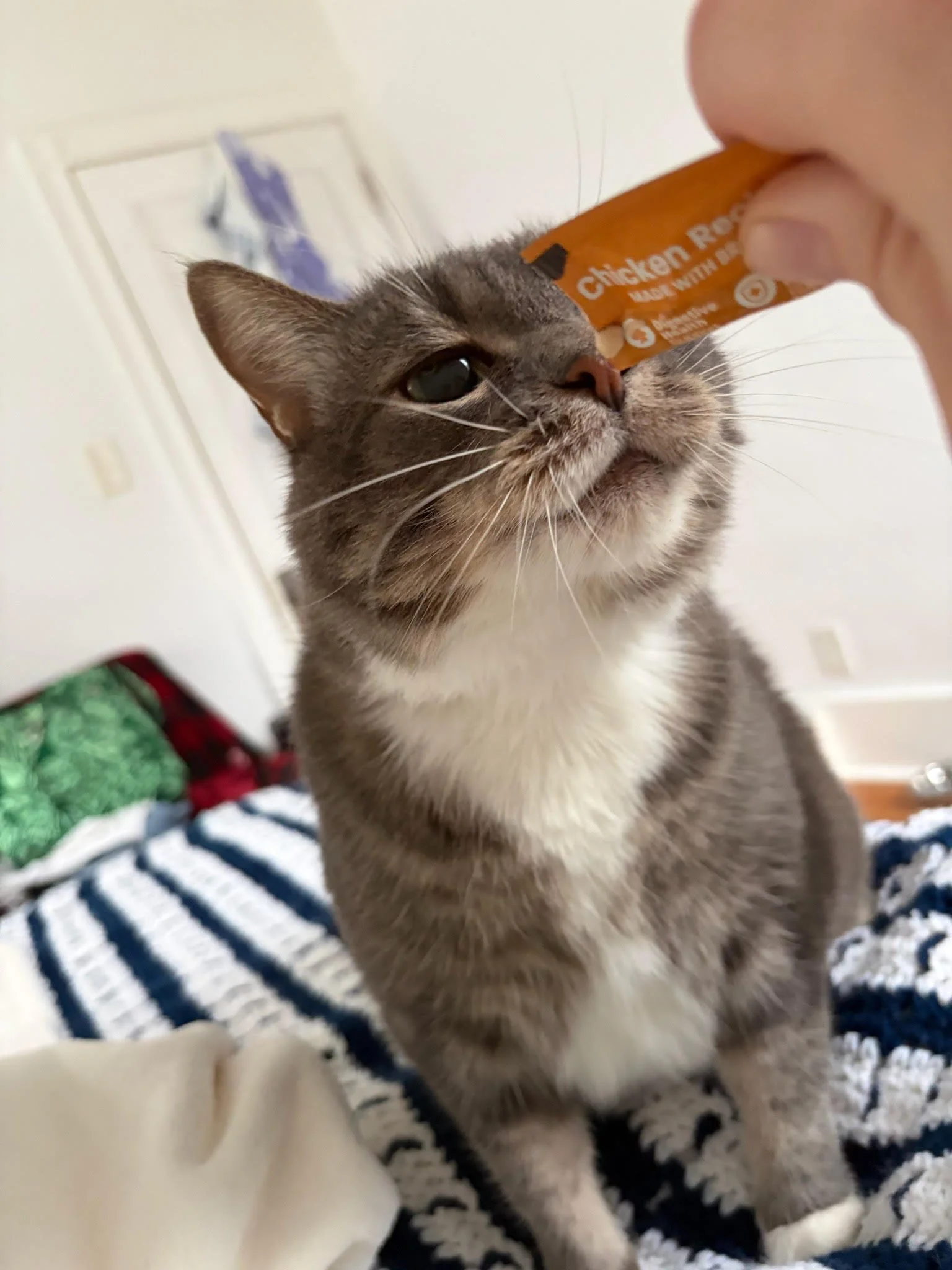 Vladdy-Boo4.jpg