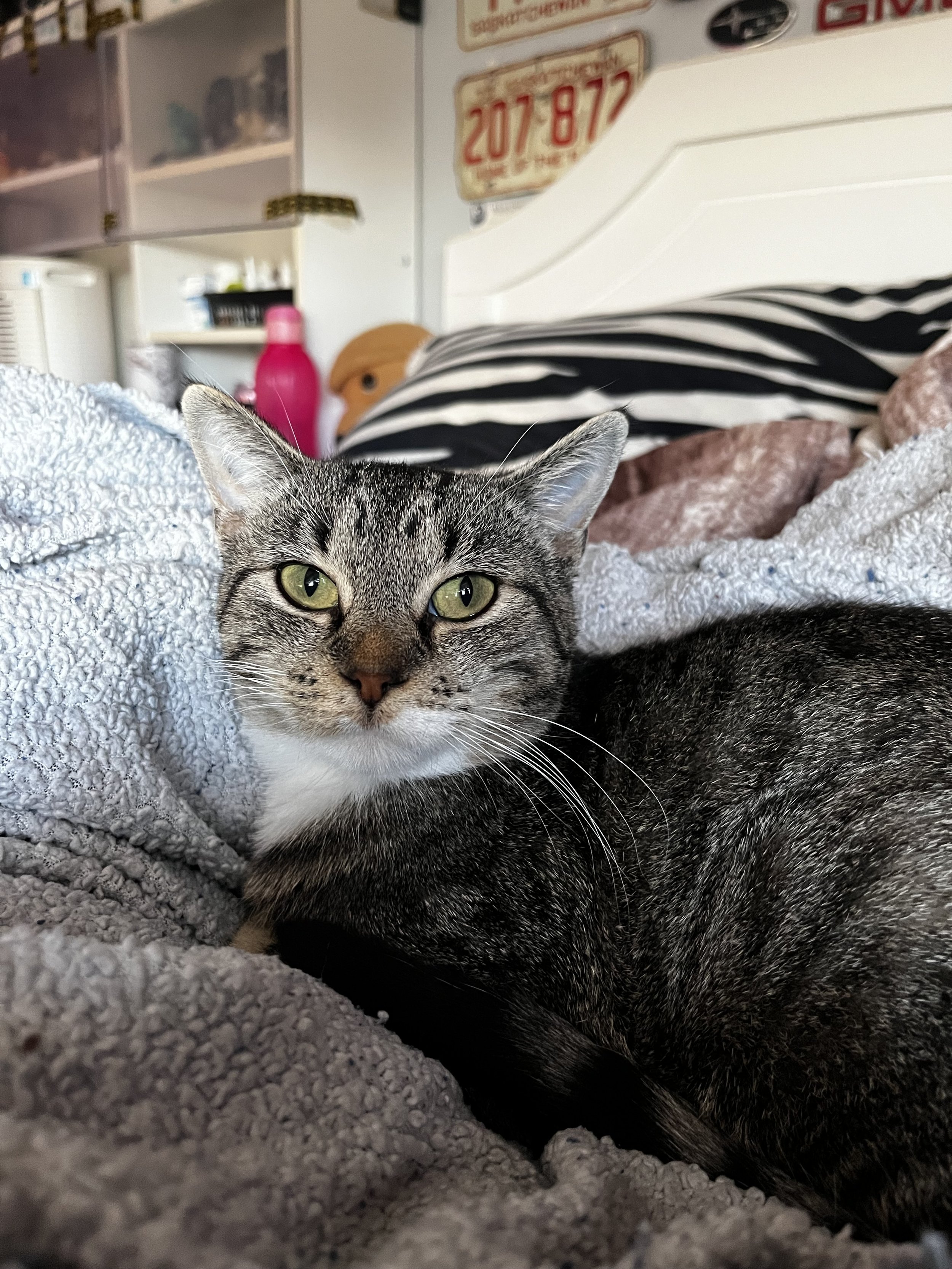 Solar Flare (6).jpeg