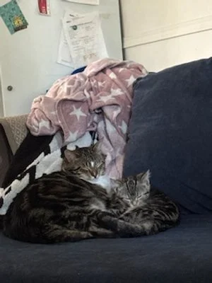 Miss Gremlin 1.jpeg