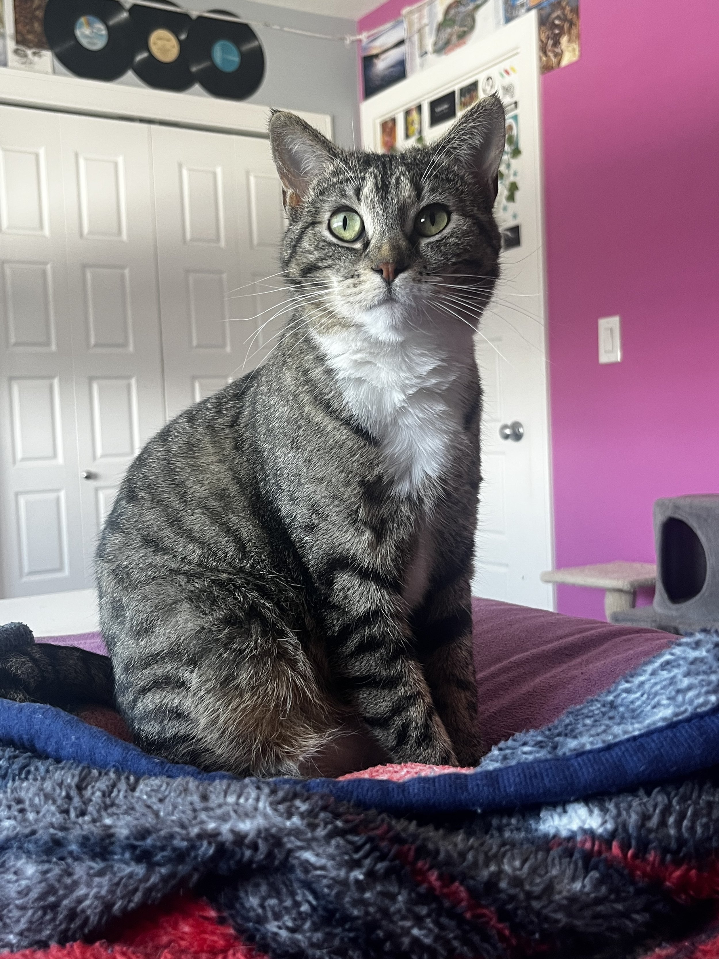 Solar Flare (4).jpeg