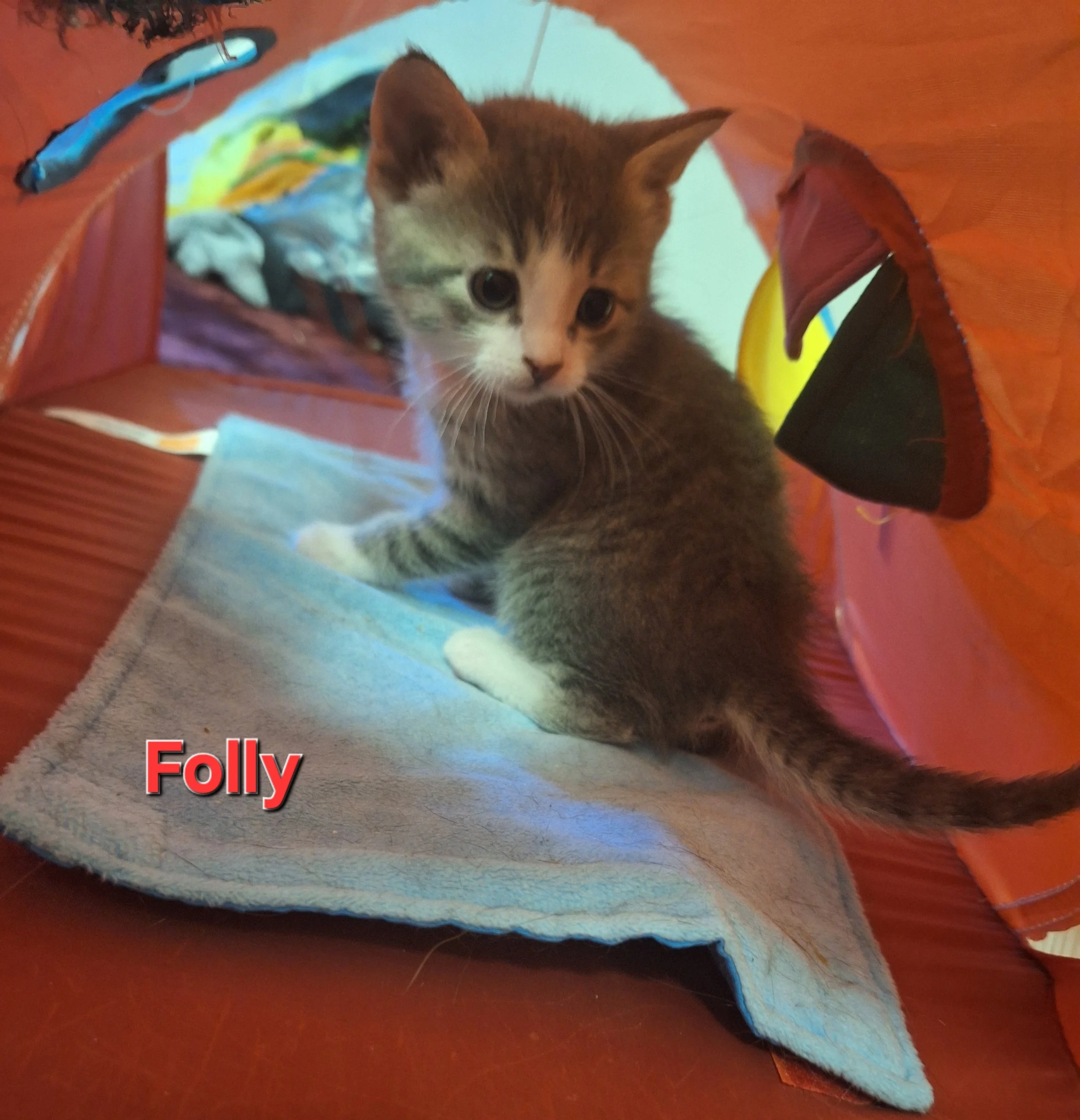 Folly 3.jpg