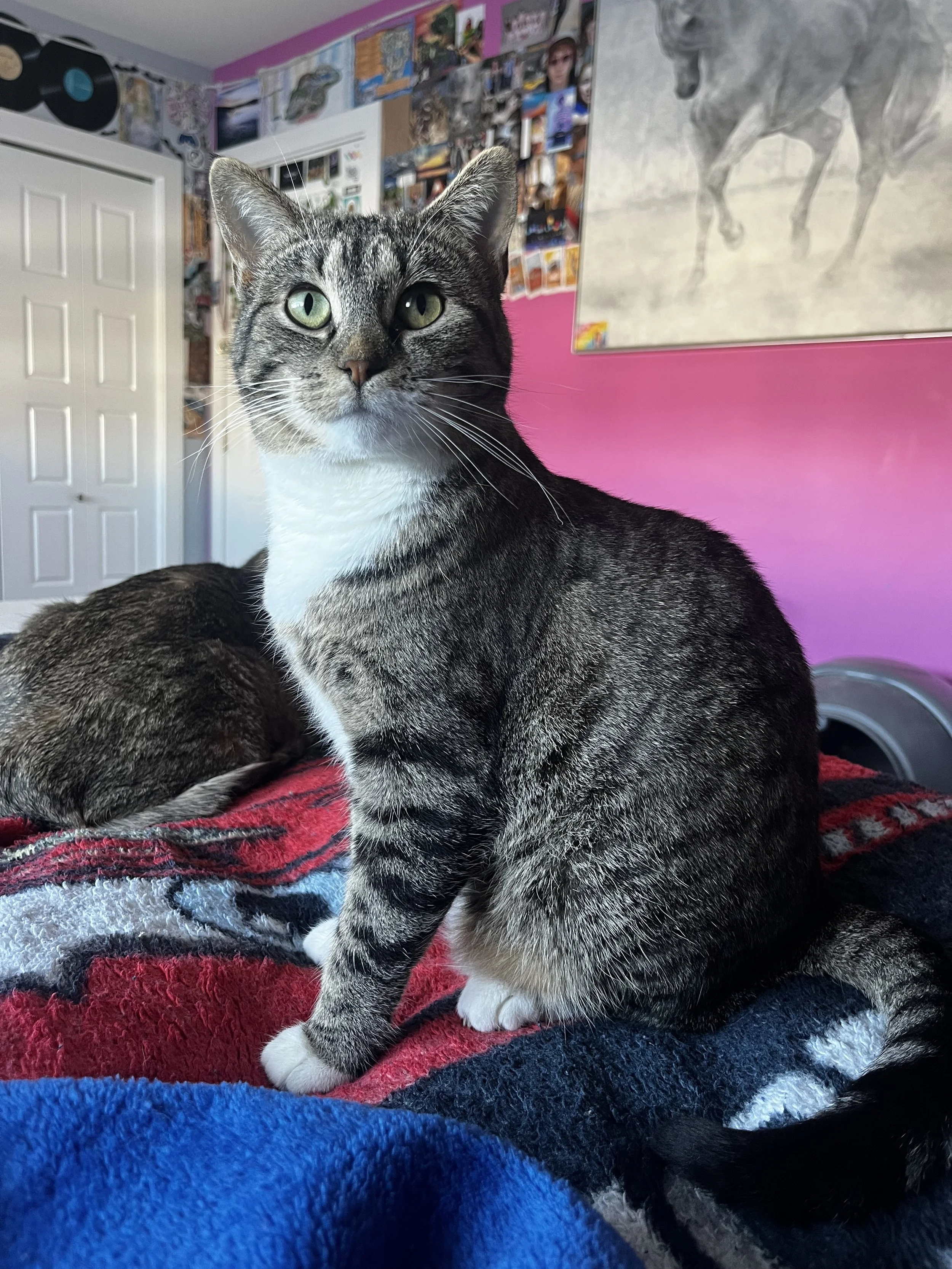 Solar Flare (3).jpeg