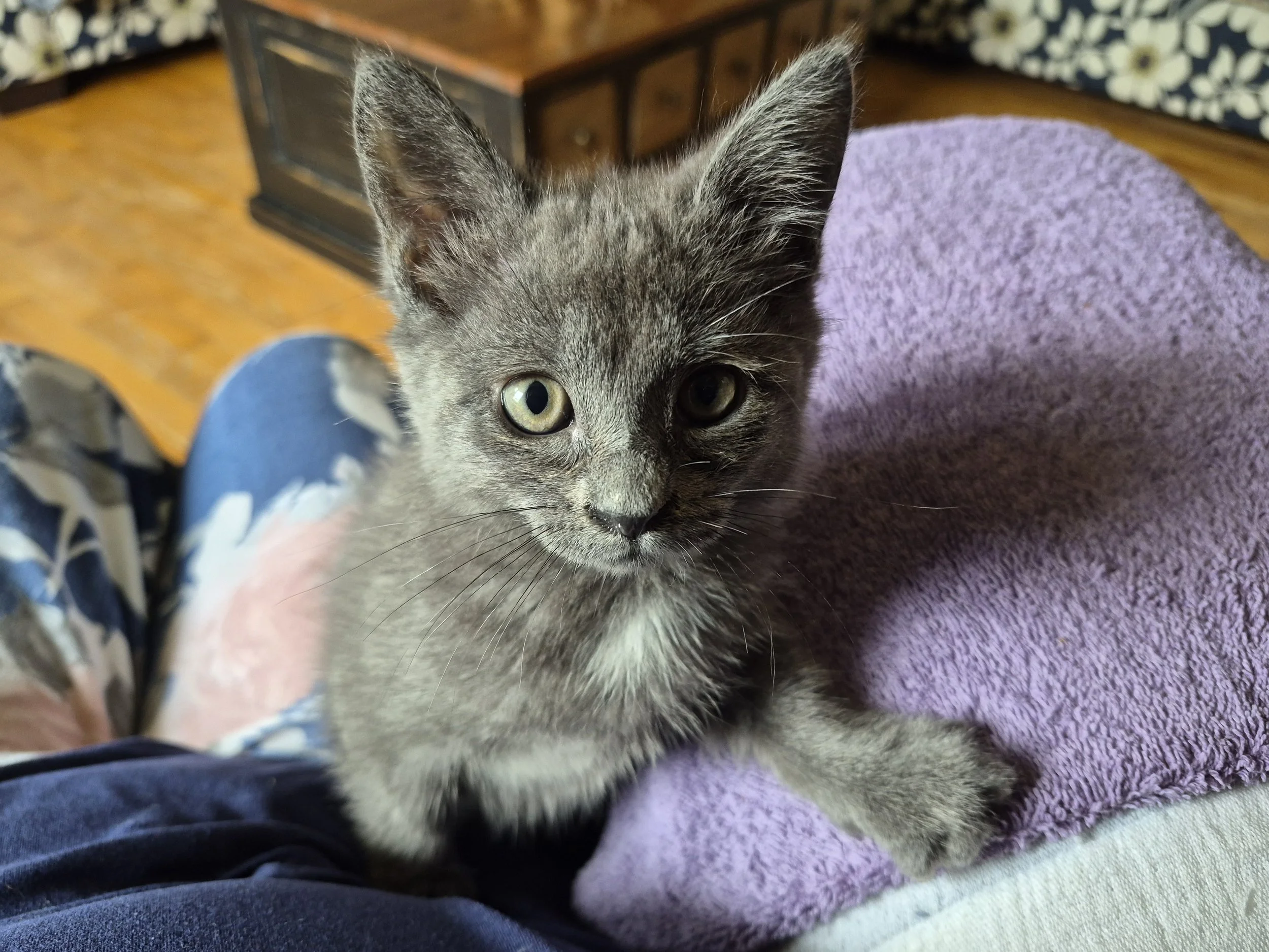 Gracie Mae5.jpg