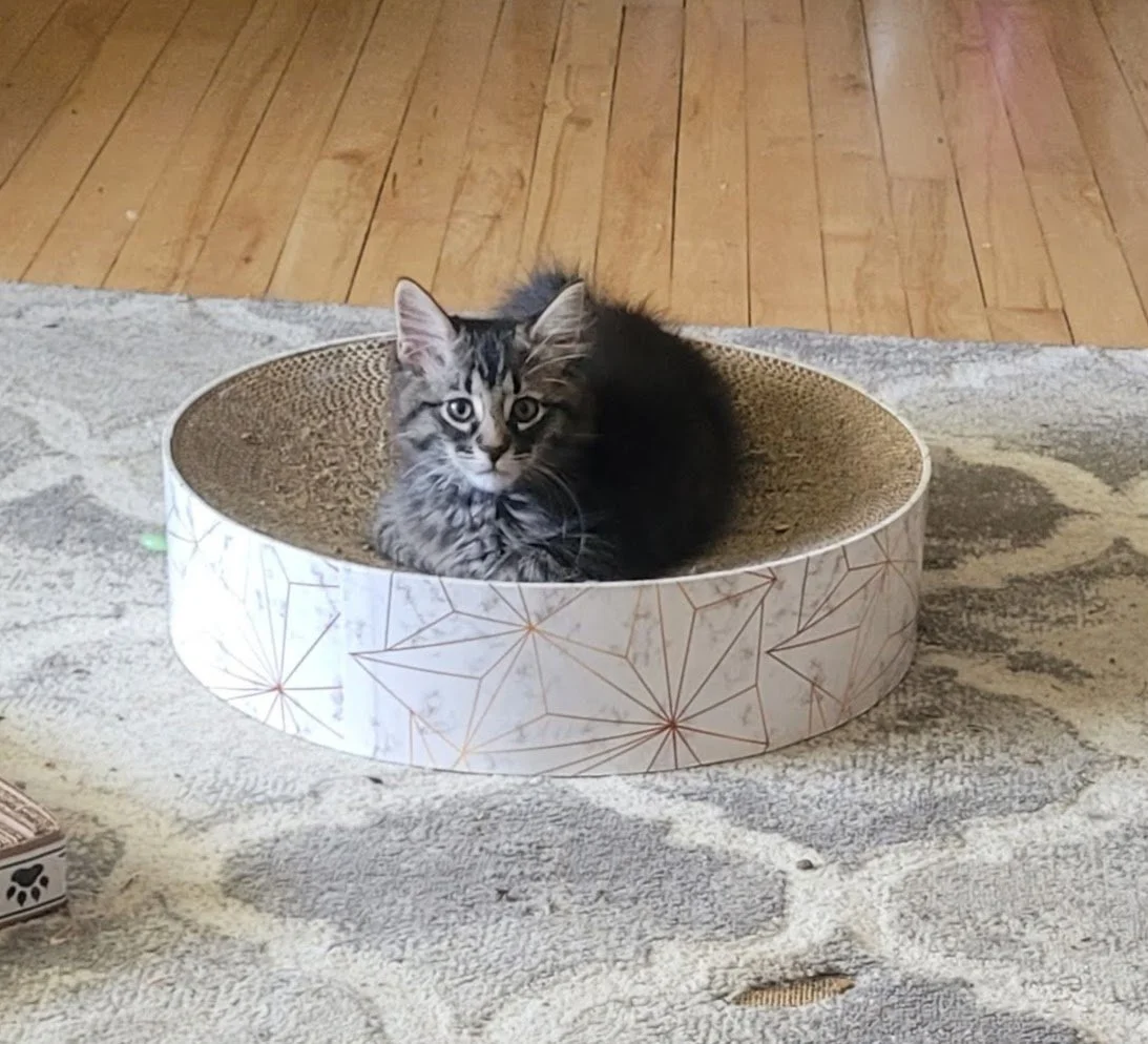 xlfloof3.jpg