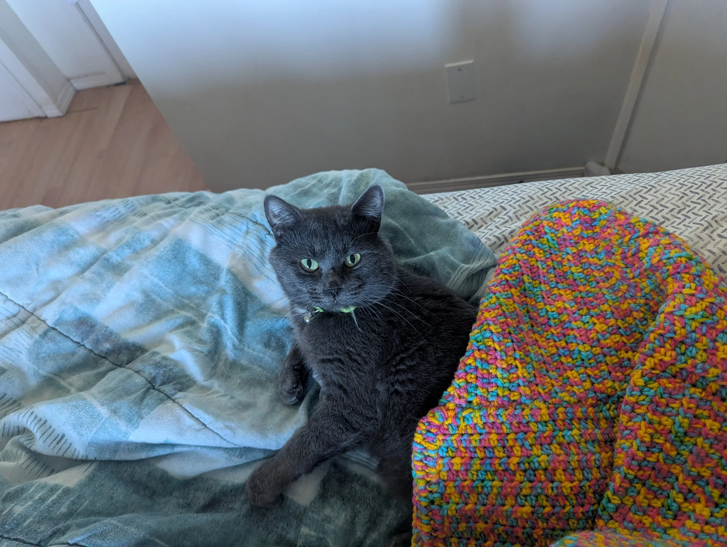 Jasper 5.jpg