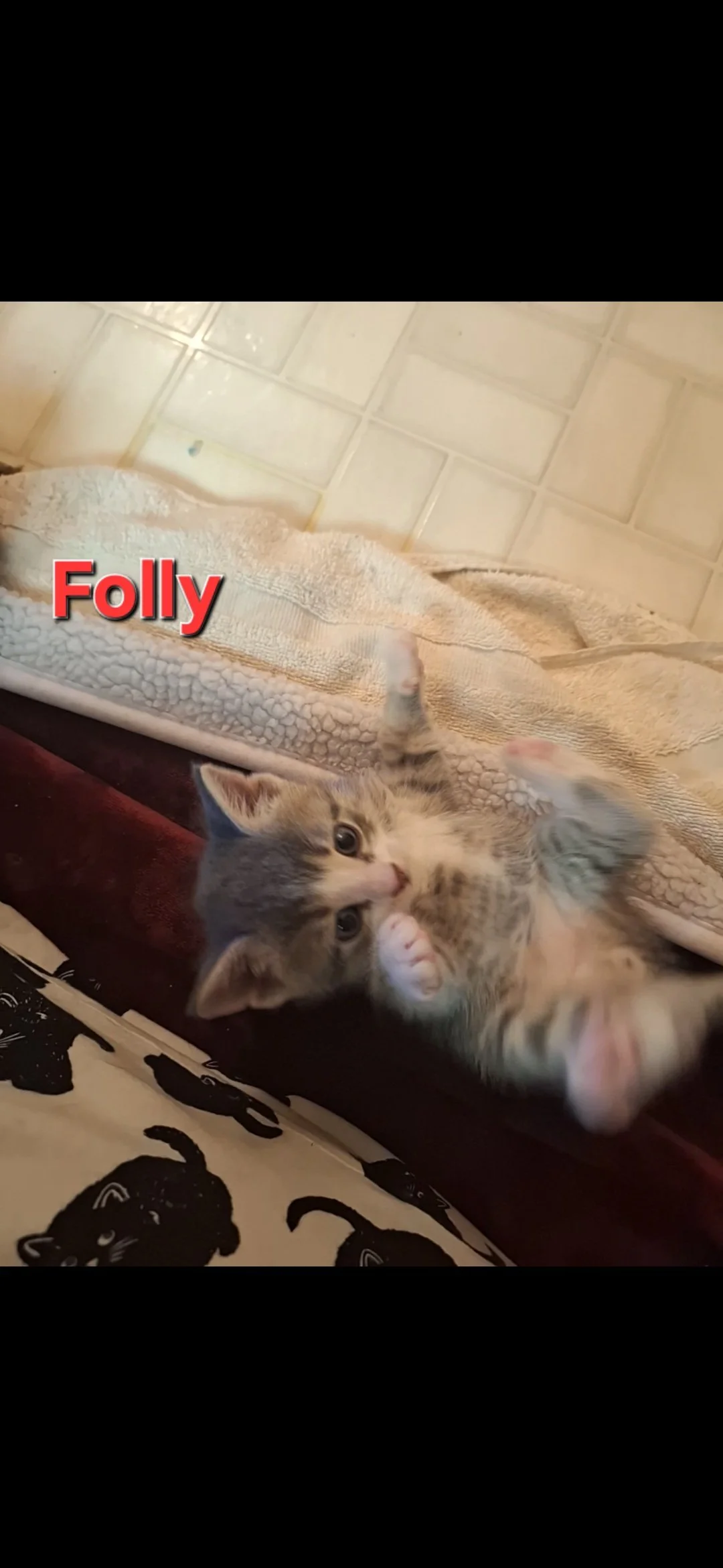Folly 2.jpg