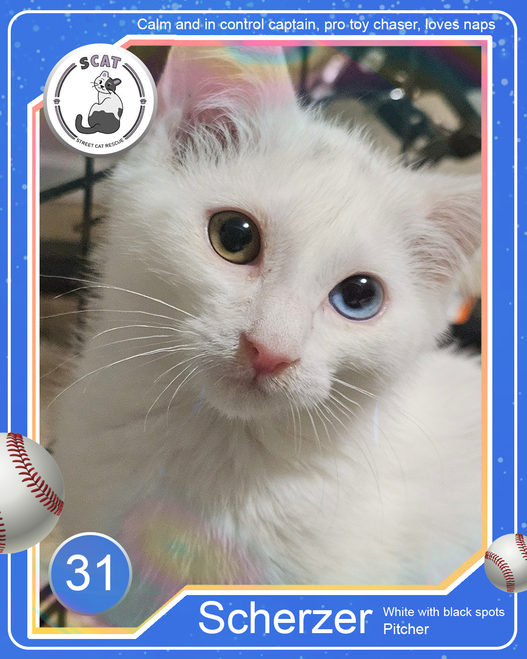 Baseball card-scherzer.png