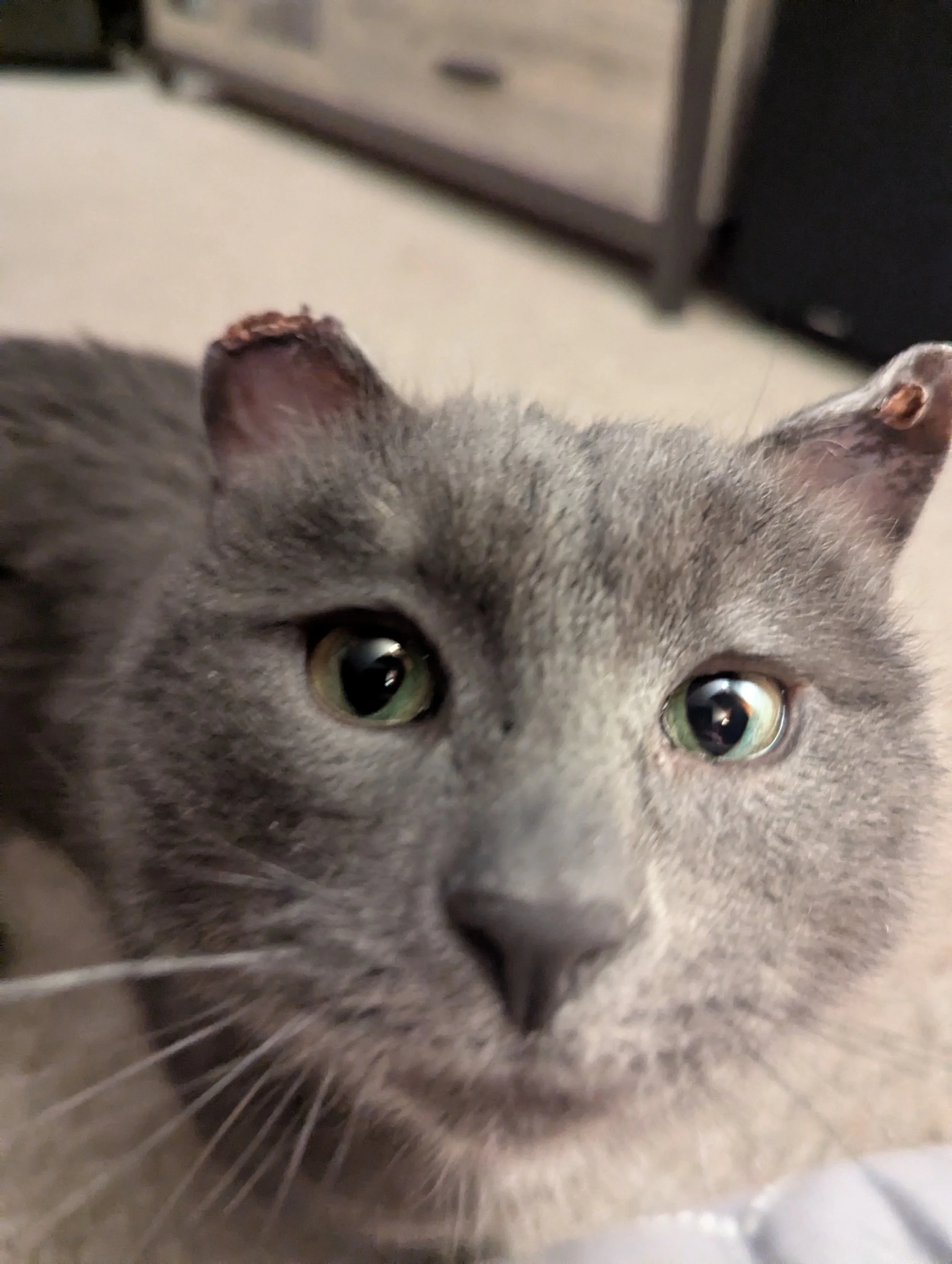 Forklift Certified 7.jpg