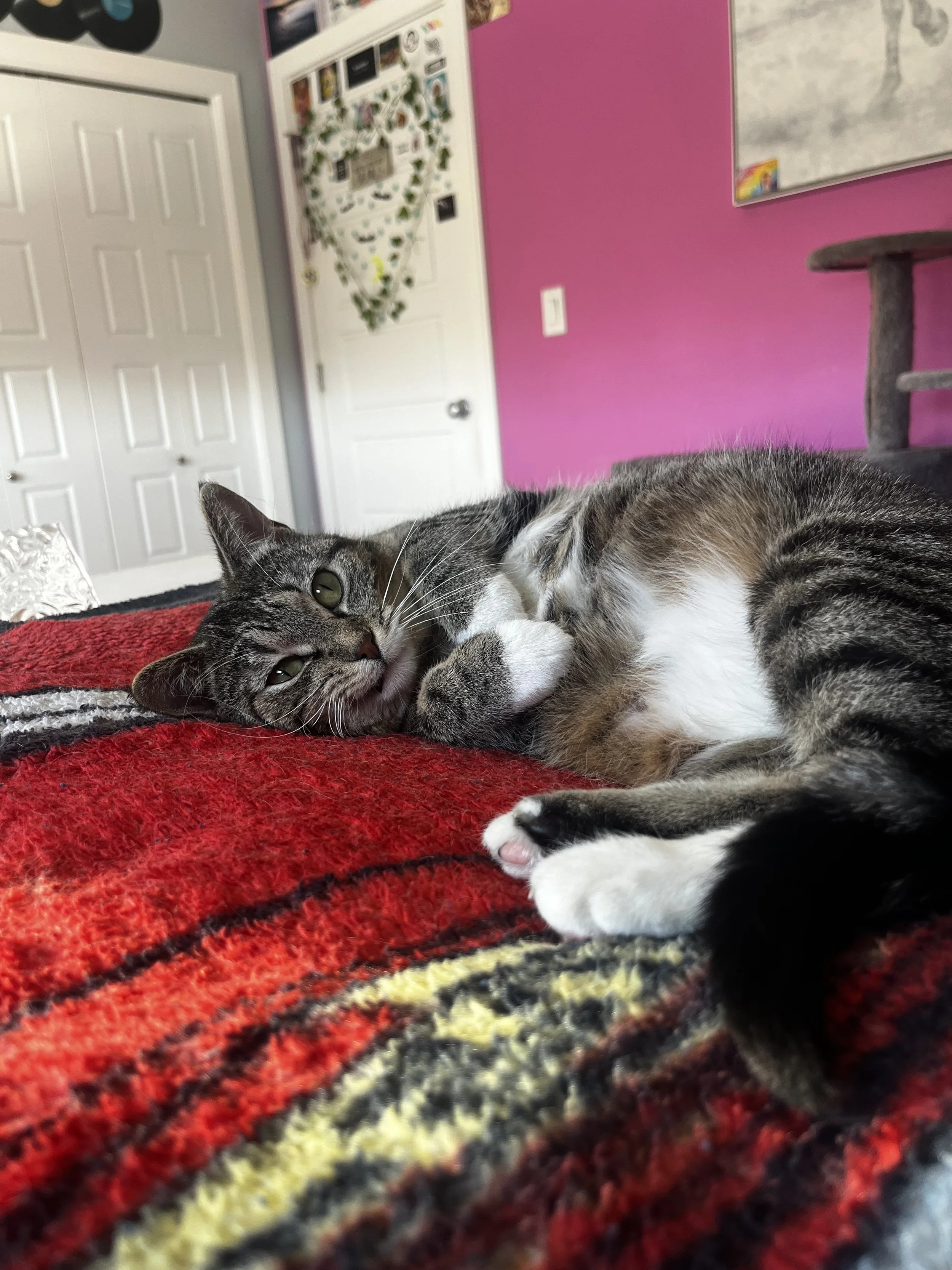 Solar Flare (2).jpeg