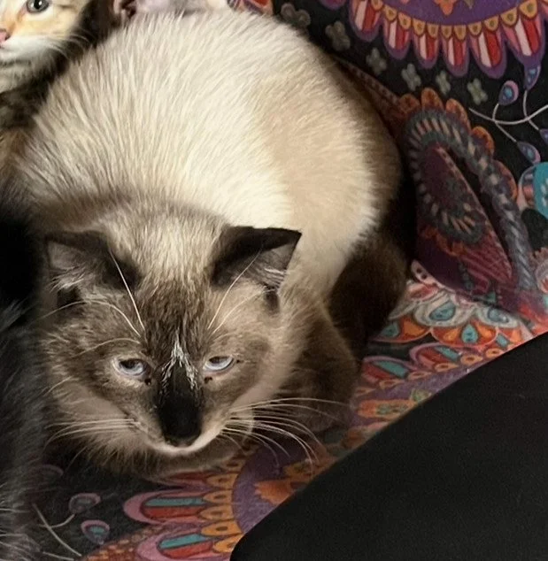 Albert (2).jpeg