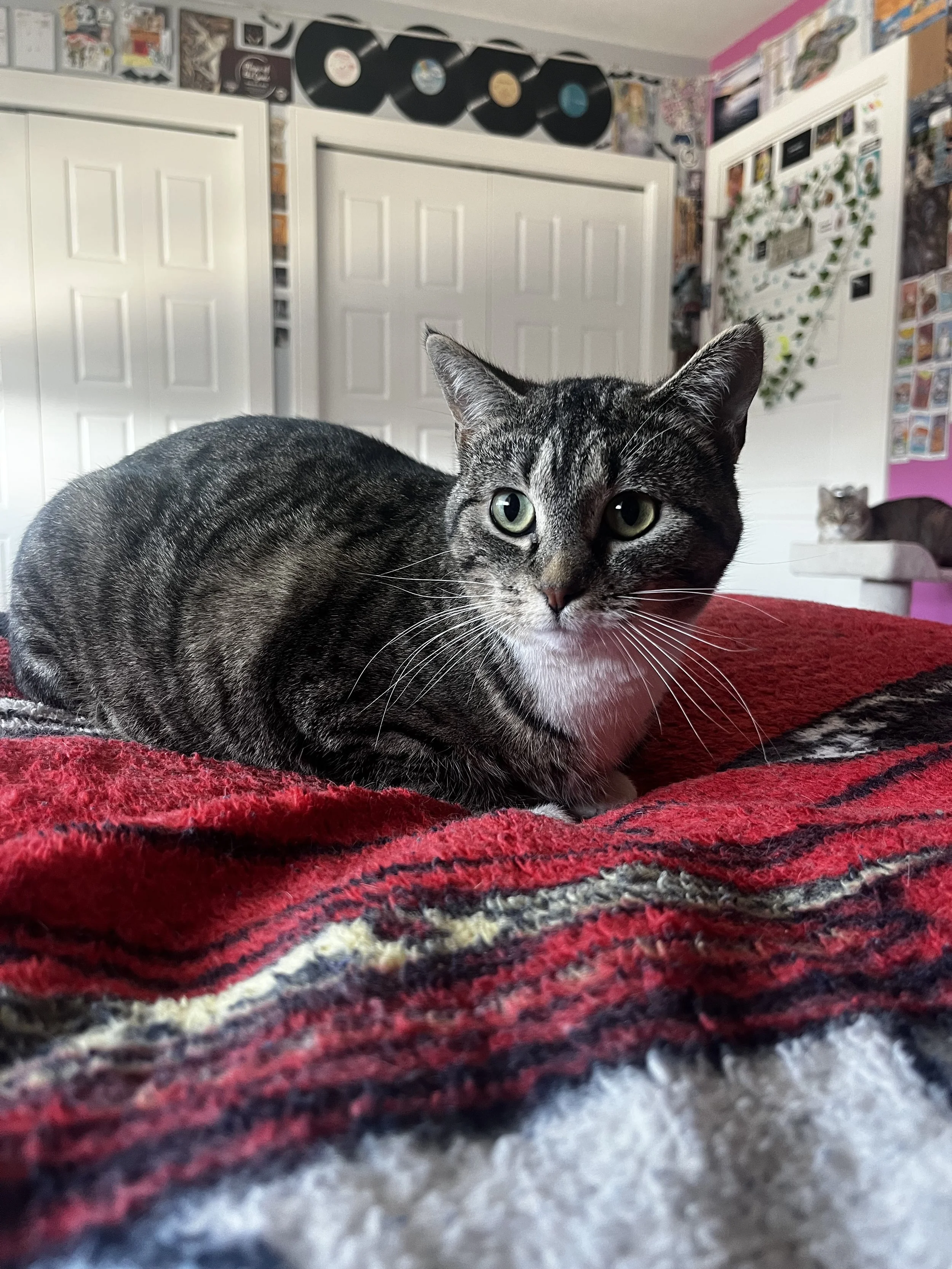 Solar Flare (5).jpeg