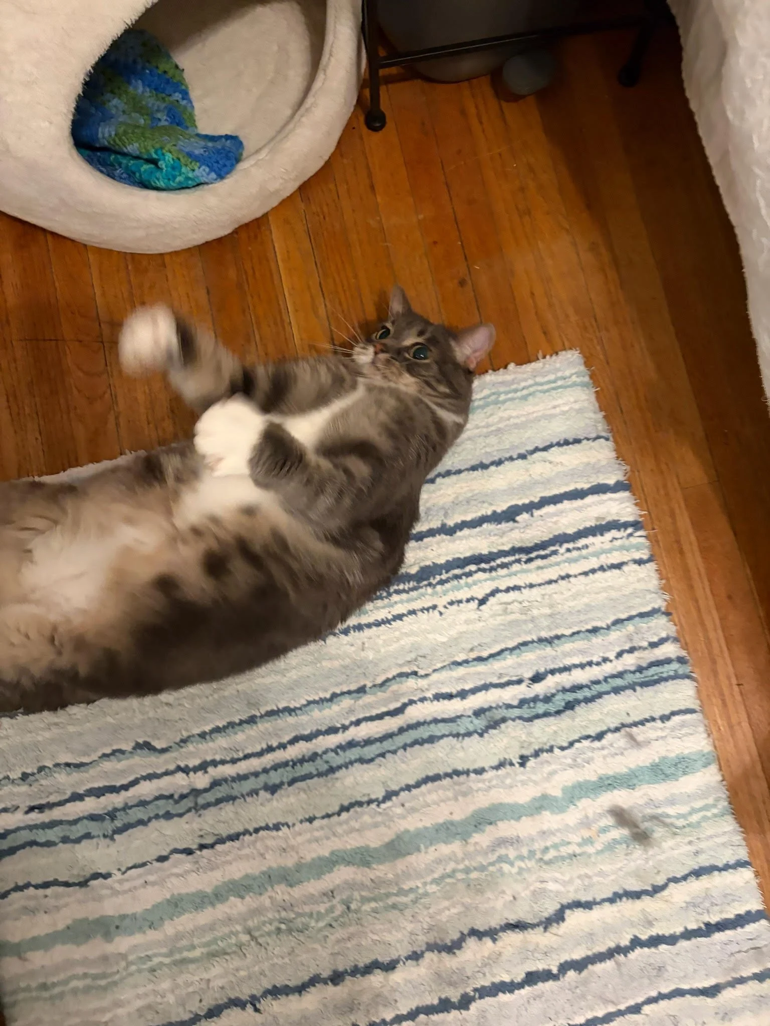Vladdy-Boo1.jpg