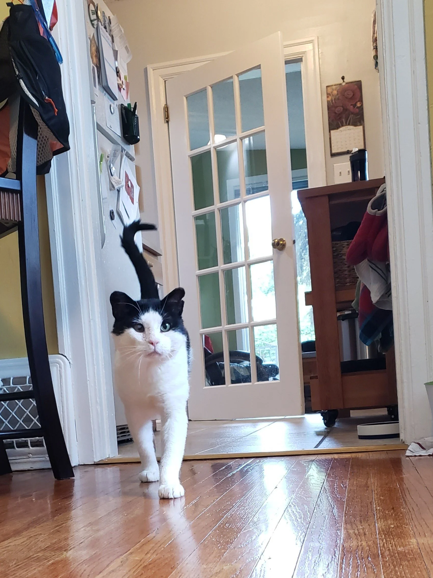 Diggory 7.jpg