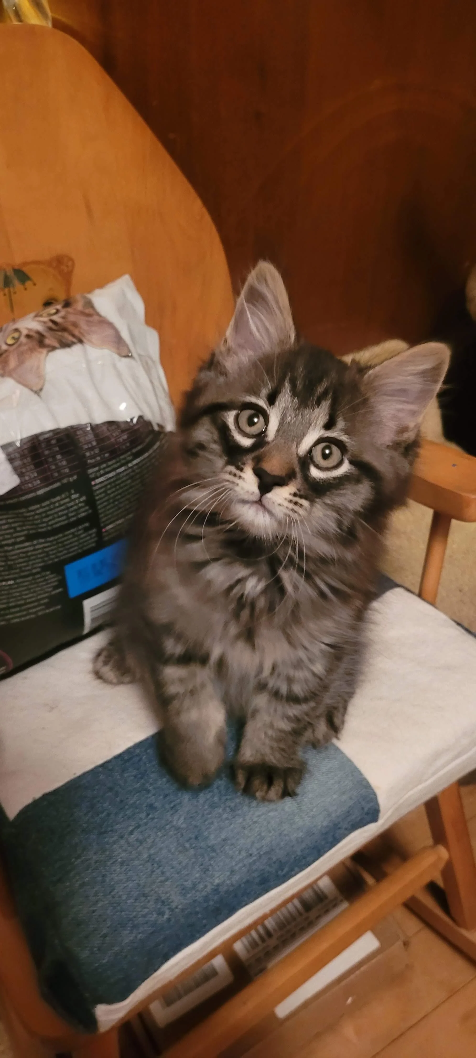 xlfloof1.jpg