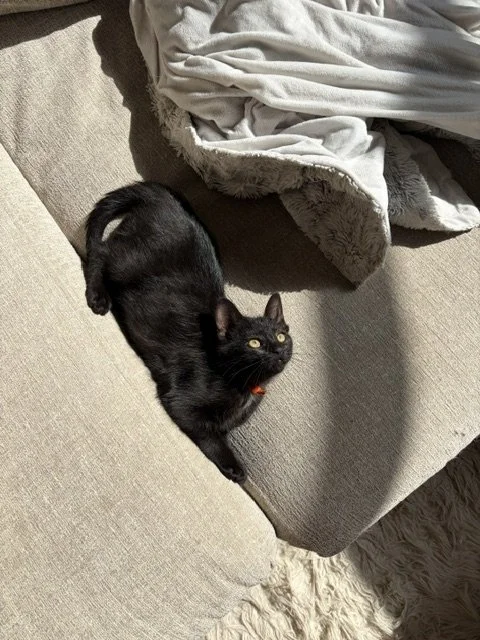 Trudie (2).jpeg
