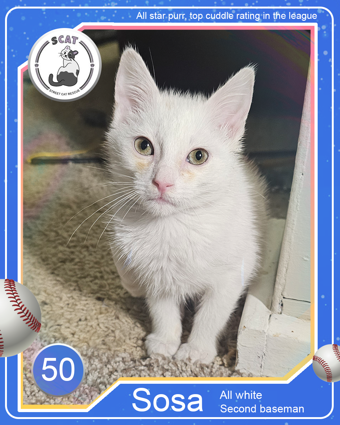 Baseball card-sosa.png