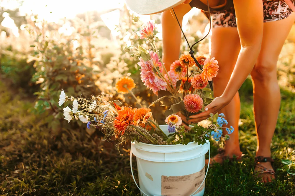 Fields Of Grace Flower Farm