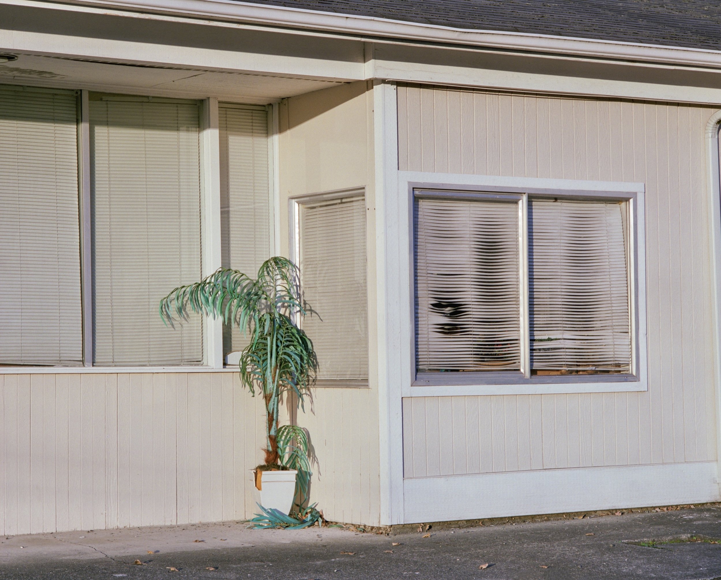 C.M. Thomas Selected Works