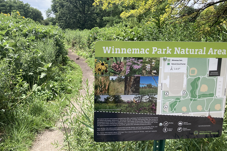 Winnemac Park Natural Area Stewardship Day