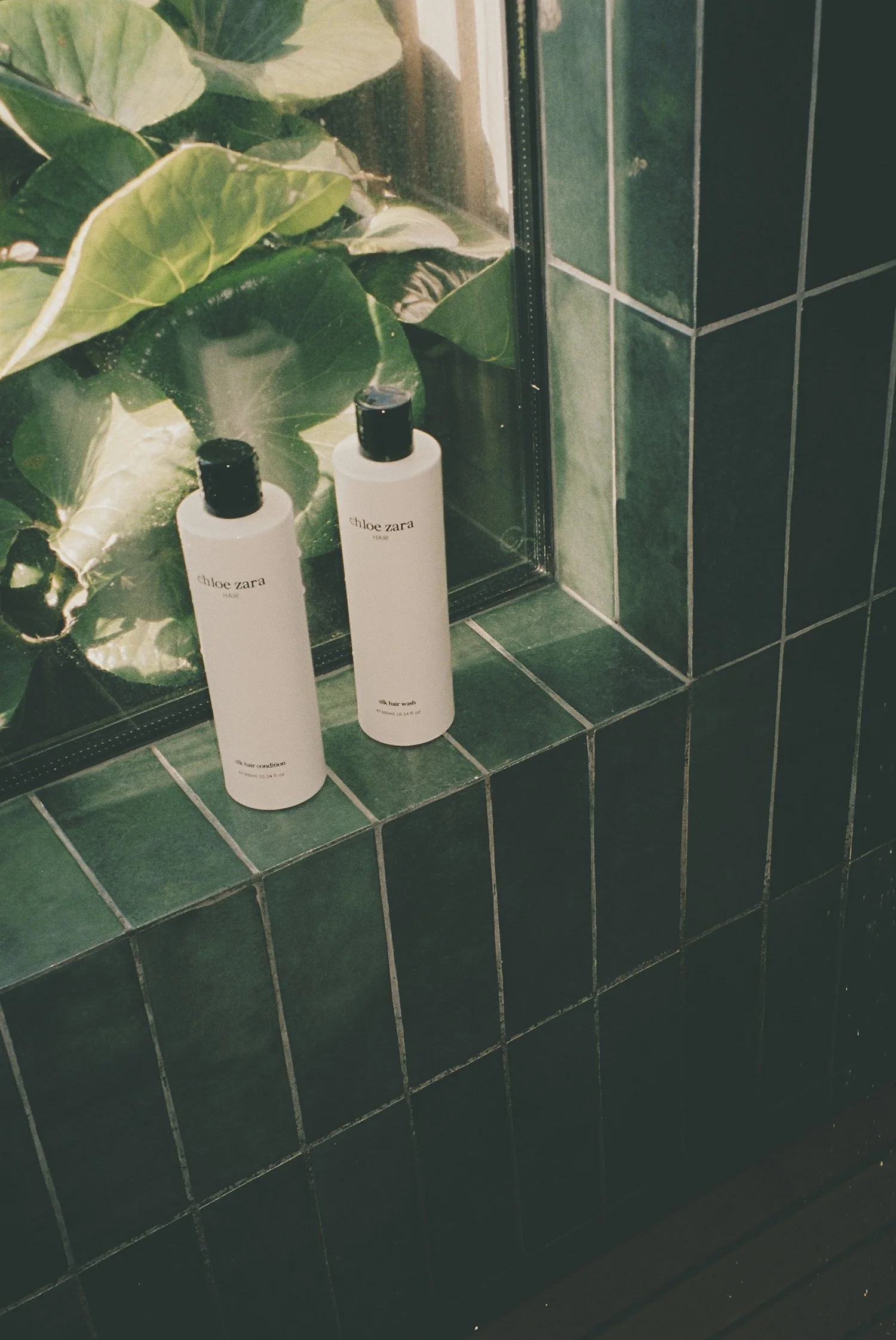 CZ Aug 22_6-web resized.jpg