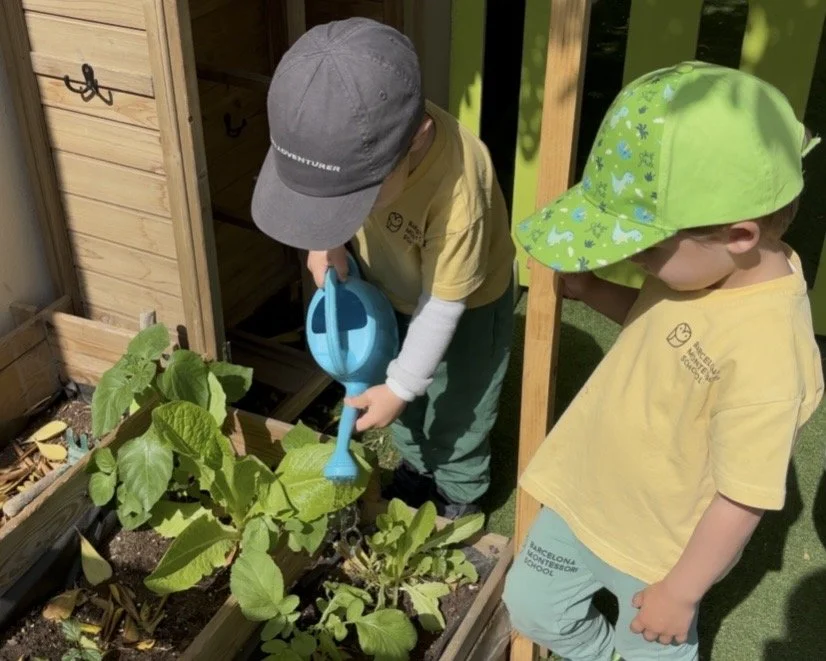 Roots &amp; Shoots: Nature Comes to Infant Community