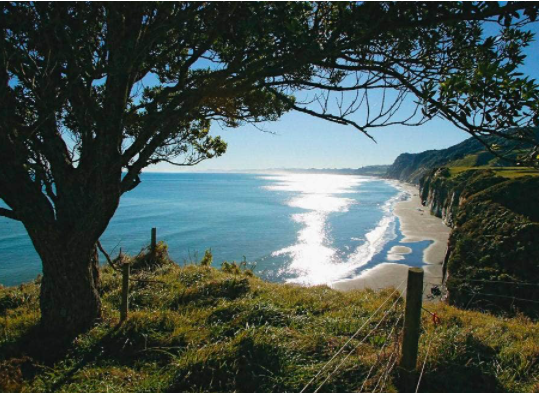 Meet the guardians of Taranaki