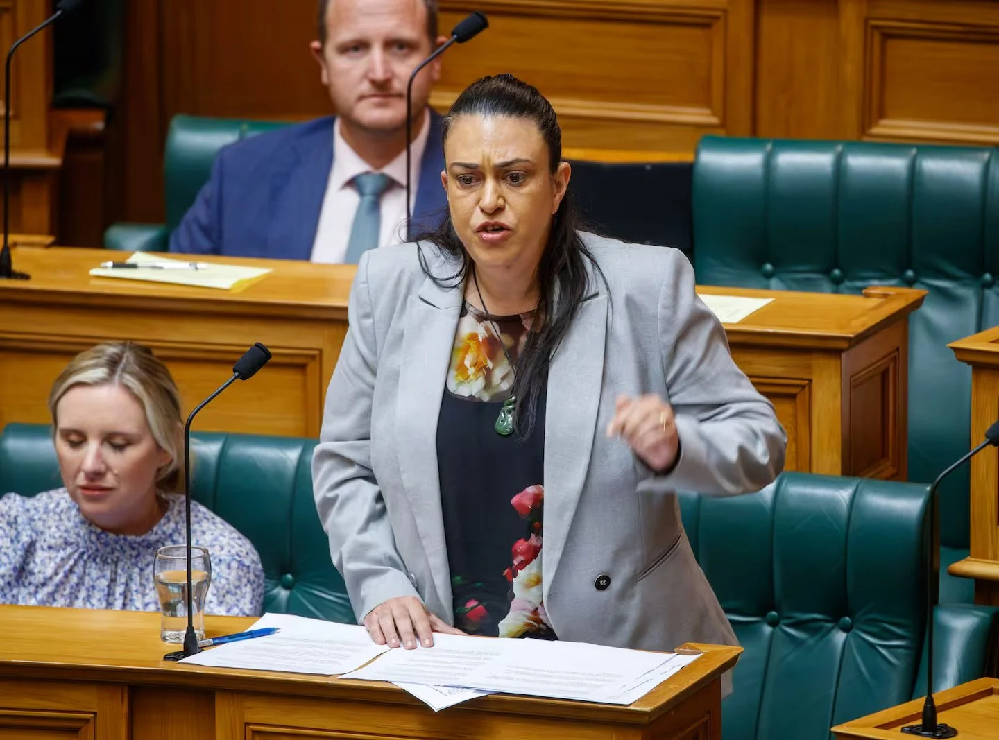 Māori advisory group ‘disappointed’ at claims by Family Violence Prevention Minister Karen Chhour | NZ Herald
