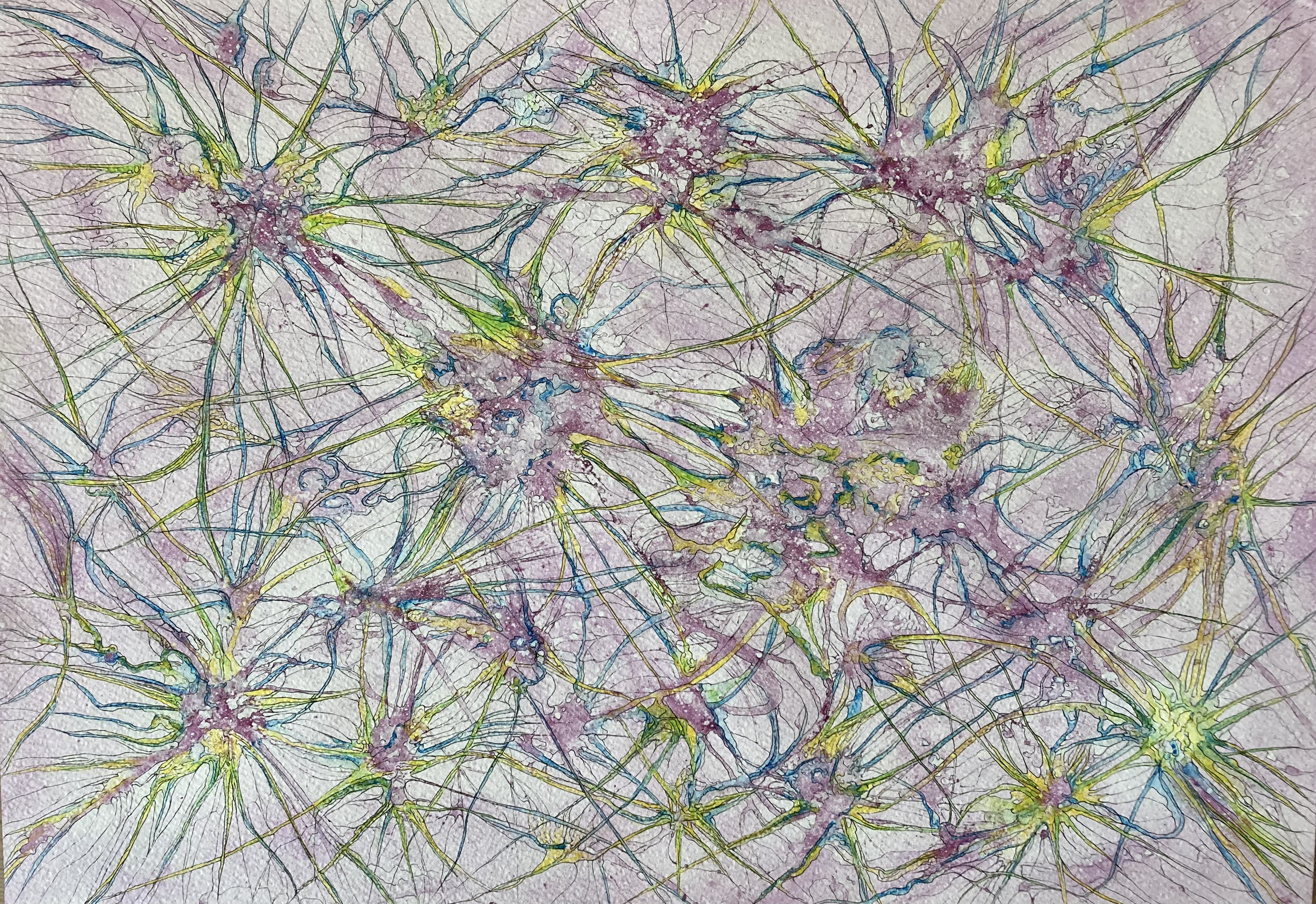 untitled 53 (or Psychedelic flowers 1) 2023, watercolor & archival ink 36 x 51 cm. Emilie Bitauld ADAGP & photo.