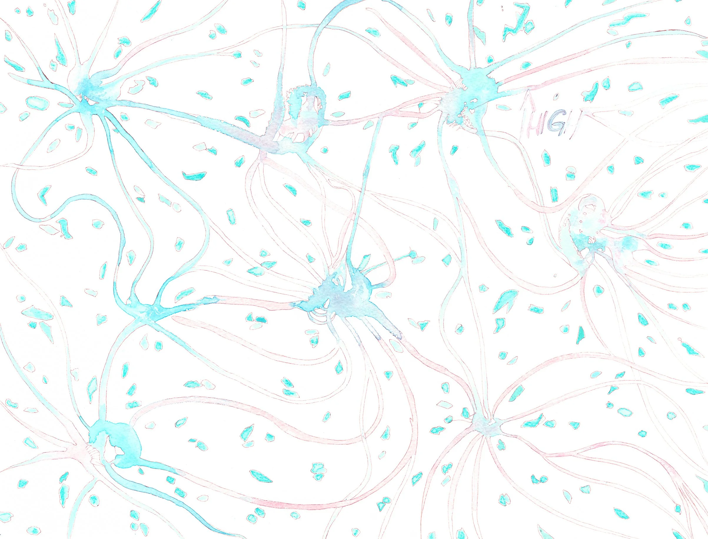 Untitled 96 (or Turquese delight) 2024 watercolor & archival ink 31 x 41 cm. Emilie Bitauld ADAGP & photo. 