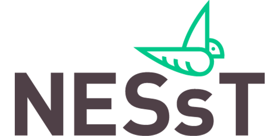 NESst-logo.png