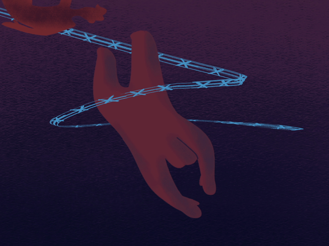 Sling the Mesh - link to film