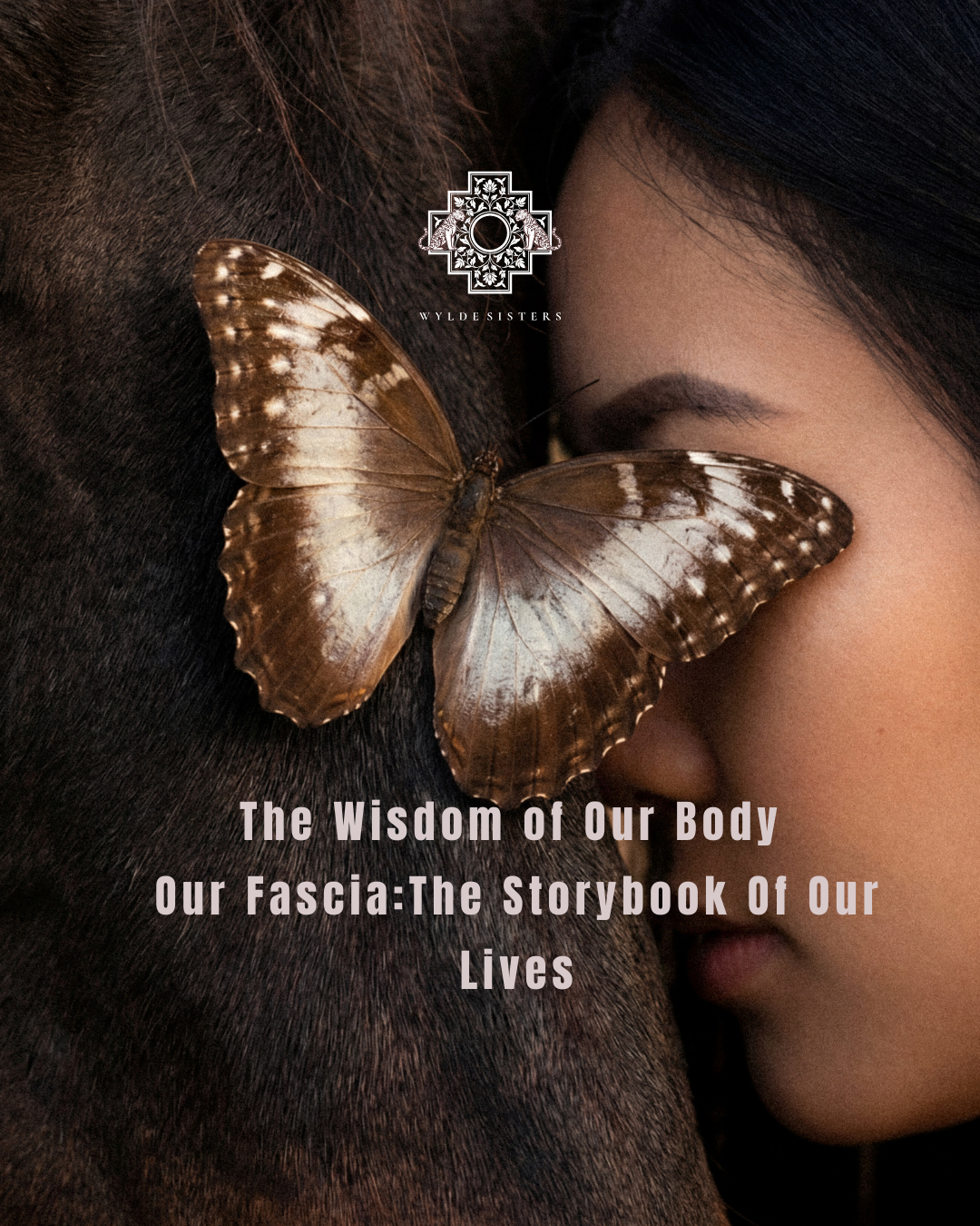 The Wisdom of Our Body | Our Fascia :The Storybook of Our Lives