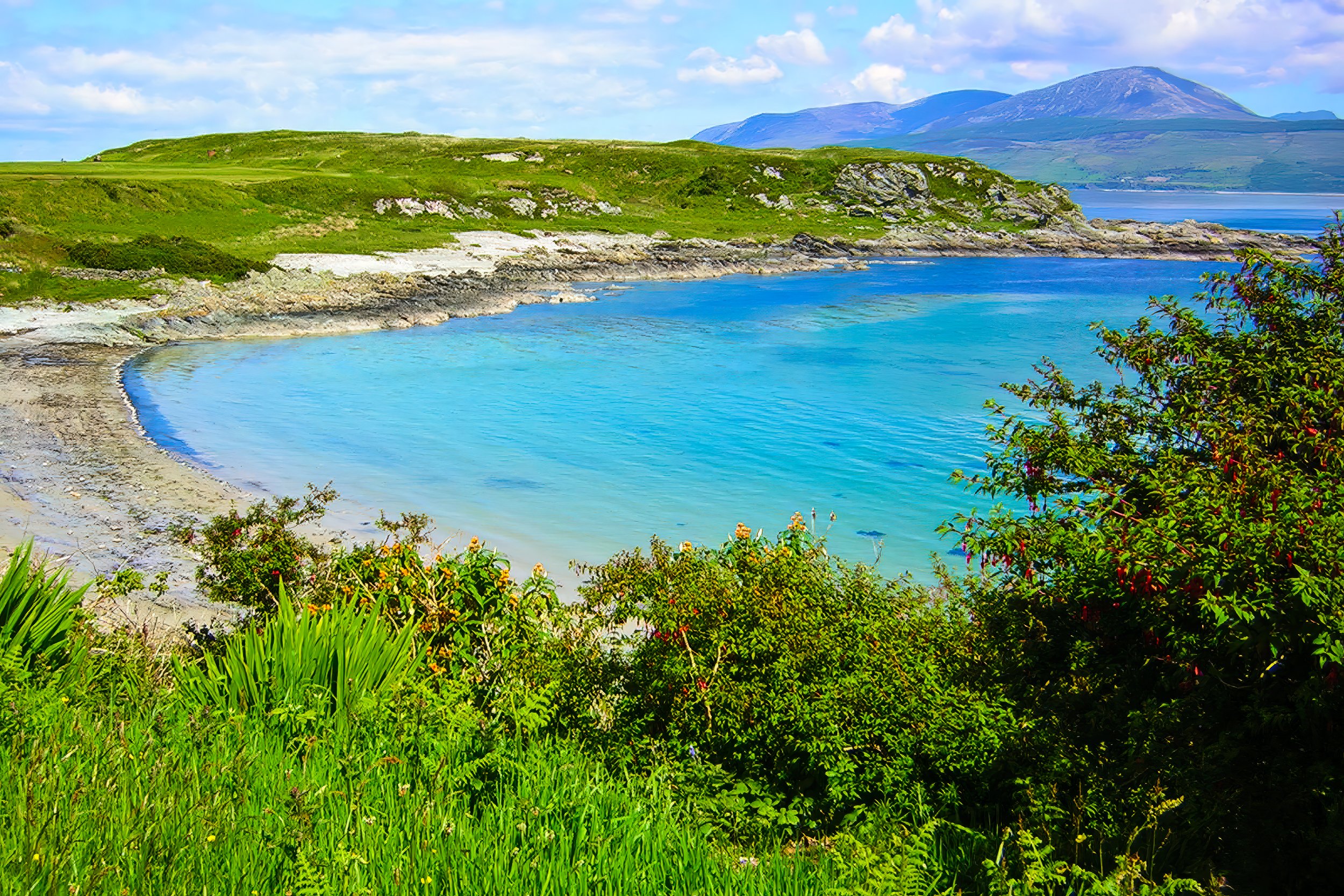 Carradale Bay